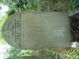 image number Adams A 06488